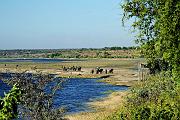 BOTSWANA Roberto e Lidia - 075